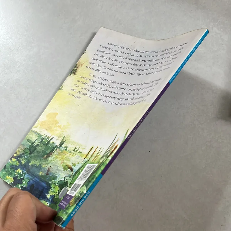 Thủ lĩnh chì gộc 596658