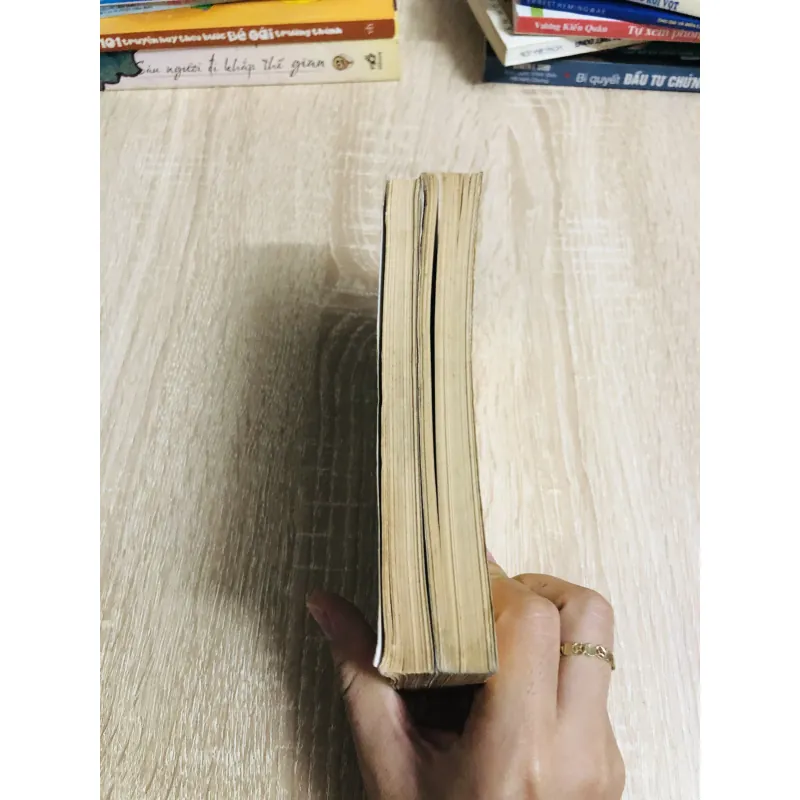 TRẦN THỦ ĐỘ & sự nghiệp nhà Trần Danh tướng Trần Hưng Đạo 1007236