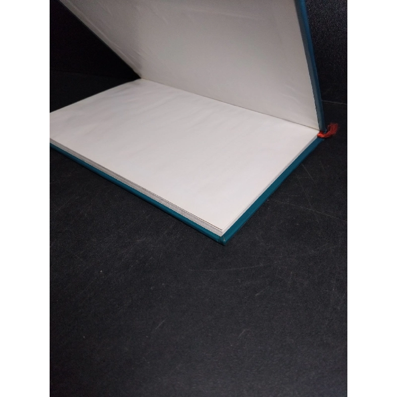 Buổi ban đầu (bìa cứng) mới 90% bẩn bìa, ố, có chữ viết trang đầu và cuối 2004 HCM1001 Nguyễn Đăng Luận VĂN HỌC 918467