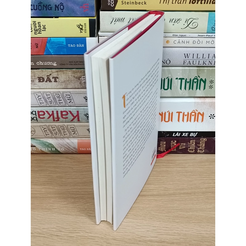 Tuy hai mà một (Dostoevsky)- Bìa cứng 381806