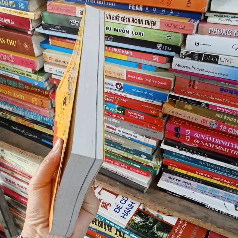 Phong Thủy Cát Tường - Nhóm Đông Sơn  795883