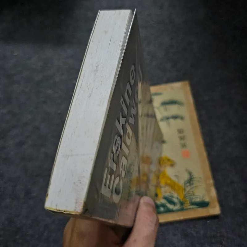 Kinh nghiệm đời văn 733948