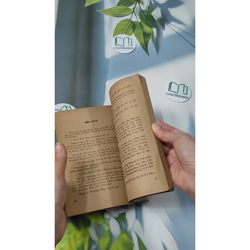 [XƯA] Quê Mẹ (1989) - Thanh Tịnh 775985