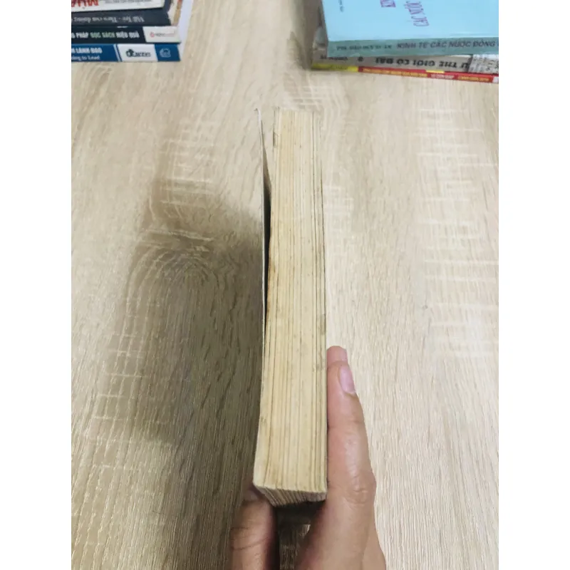 MIỀN QUÊ YÊN TĨNH ( truyện dài) 1024314