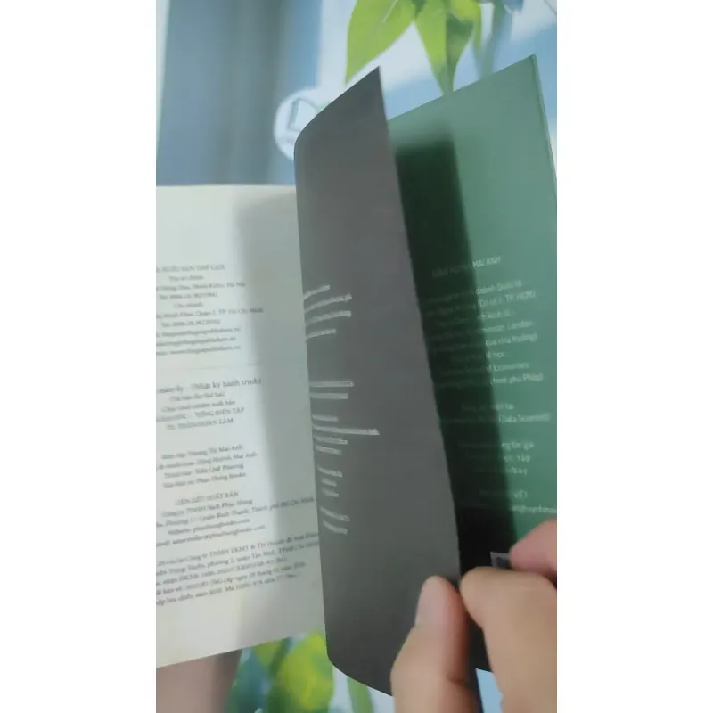 Mùa Hè Năm Ấy - Đặng Huỳnh Mai Anh 798427