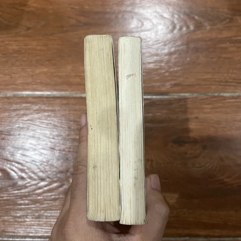 Cậu bé cưỡi rồng 2 tập  745003