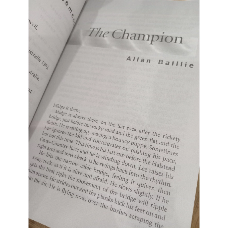 The champion & other stories - Helen Sykes 553076