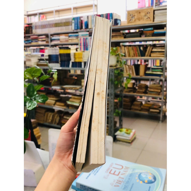 NHÂN VẬT VÀ SỰ KIỆN LỊCH SỬ CẬN-HIỆN ĐẠI - HẢI NGỌC, THÁI NHÂN HÒA 540483