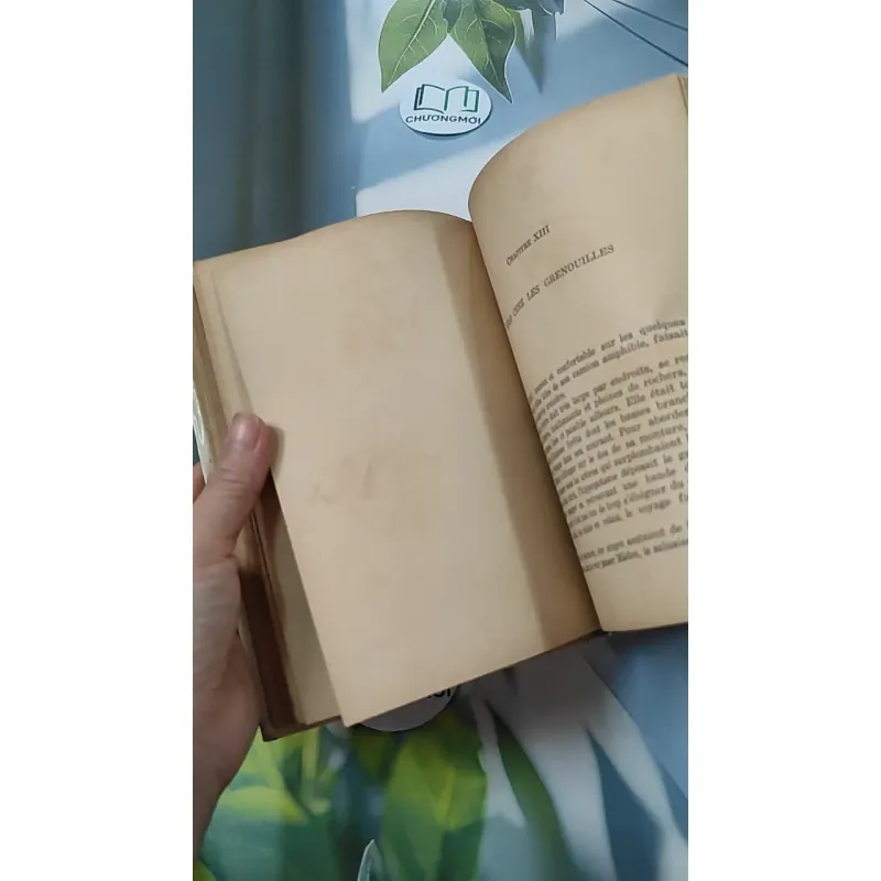 [MIỄN PHÍ BỌC SÁCH] En mission chez les bêtes - Pâquerette de Quénetain 749582