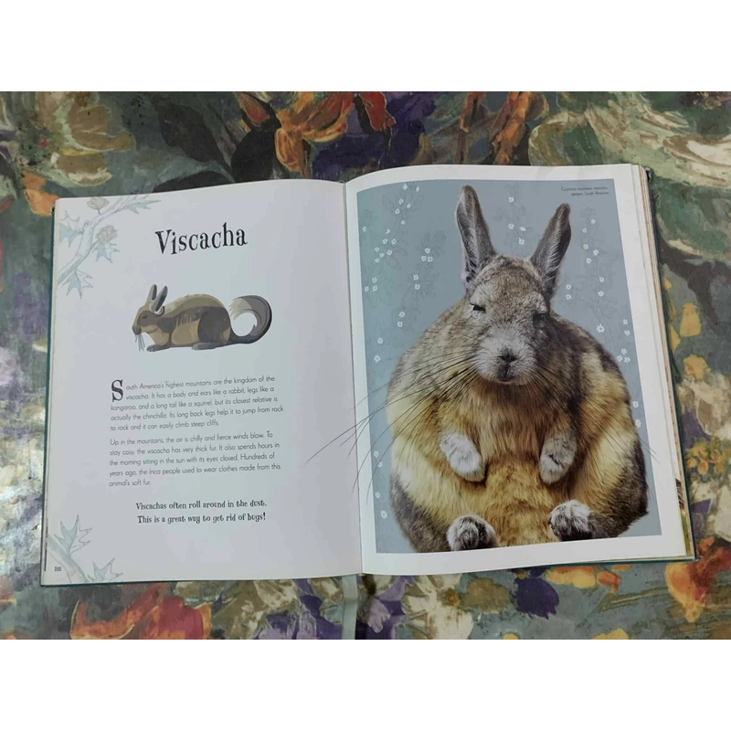 An Anthology of Intriguing Animals 538463