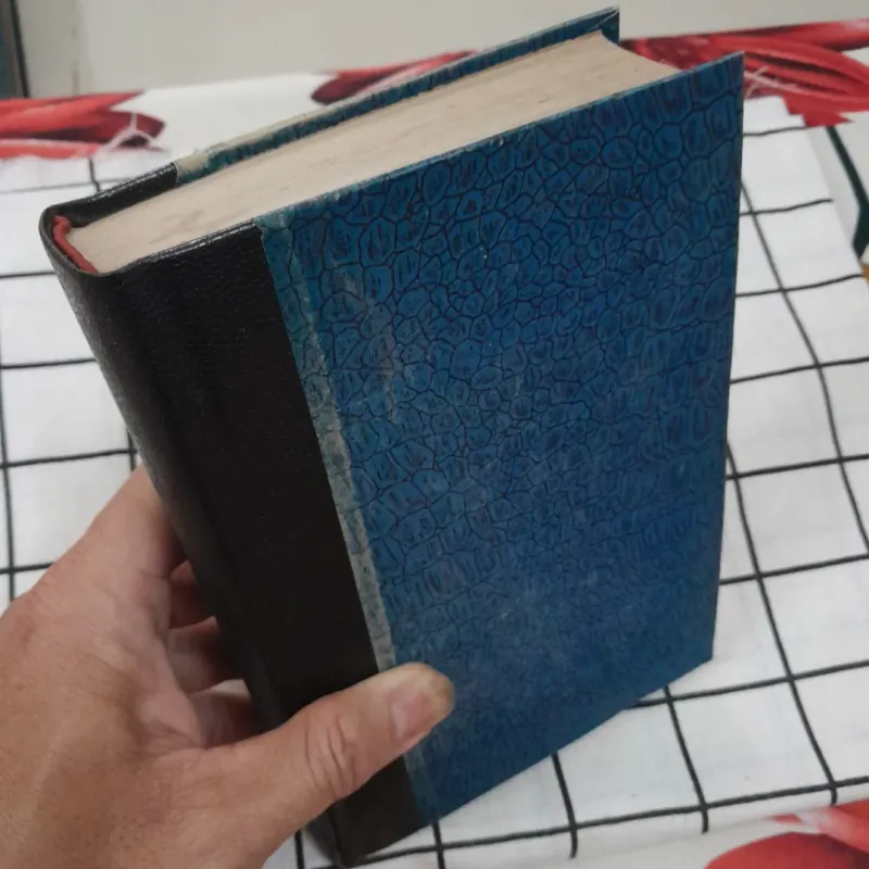Văn kinh điển Nga- NHỮNG KẺ TỦI NHỤC. Tg. Dostoievki. Dịch từ ng bản Nga 1987 600314