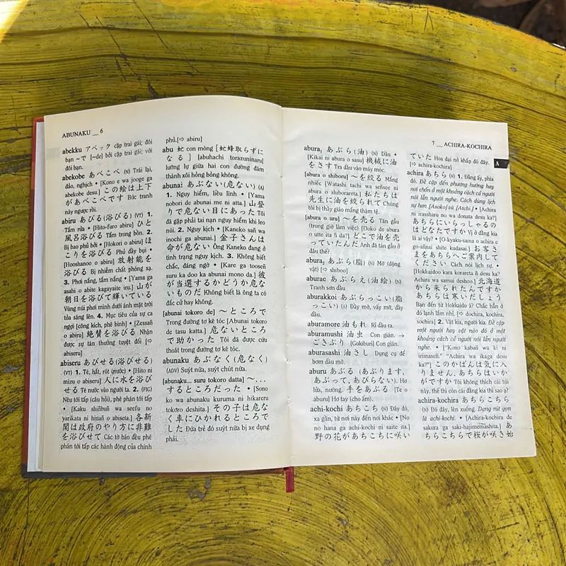COMBO TỪ ĐIỂN THÀNH NGỮ NHẬT - VIỆT & TỪ ĐIỂN NHẬT VIỆT 719582