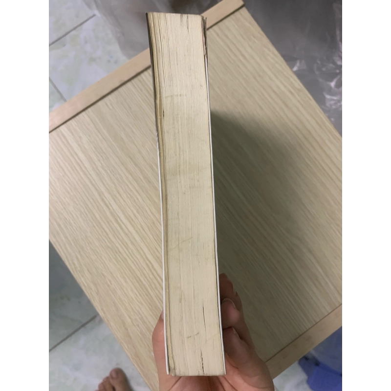 Sách Rừng Na-Uy 533546