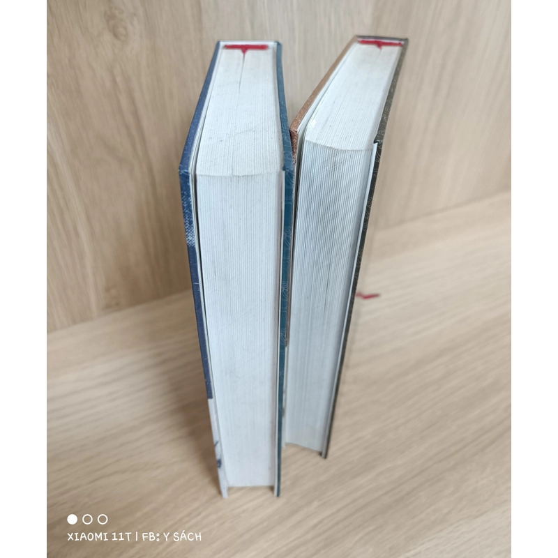 Tây Sơn bi hùng truyện 463136