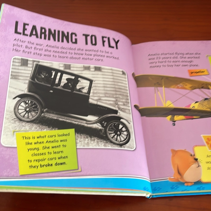 PICTURE BOOK Amelia Earhart Transatlantic pilot 536723