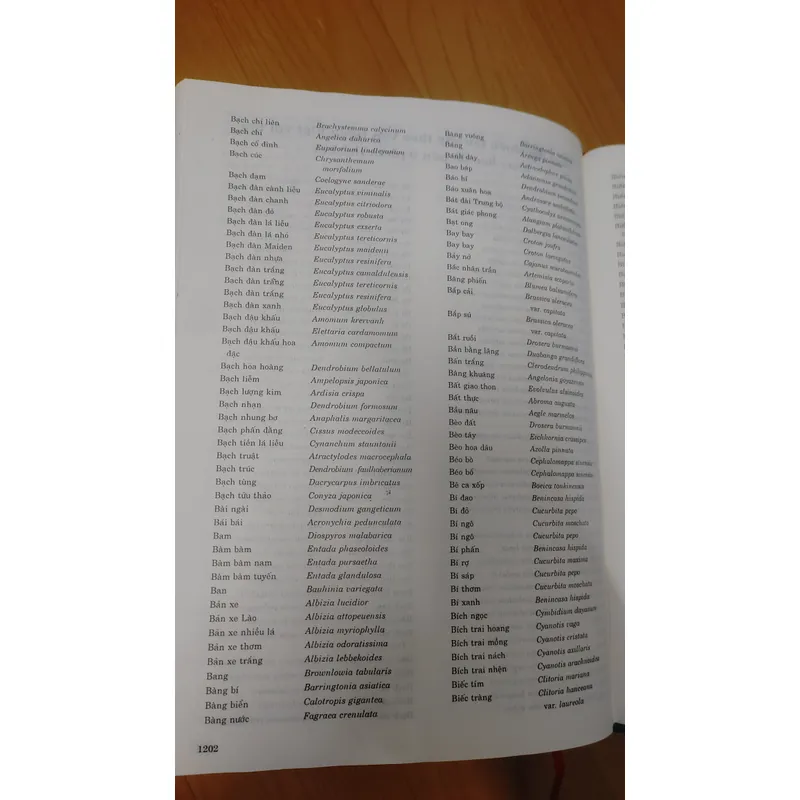 TỪ ĐIỂN THỰC VẬT THÔNG DỤNG TẬP 1 676003
