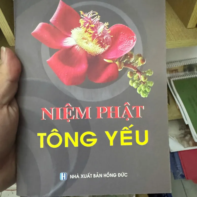 S170. NIỆM PHẬT TÔNG YẾU 1003532