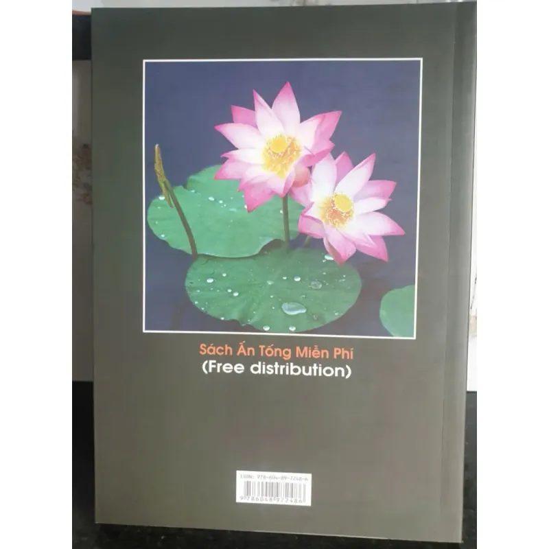 Khai Thị Trọng Yếu 675200