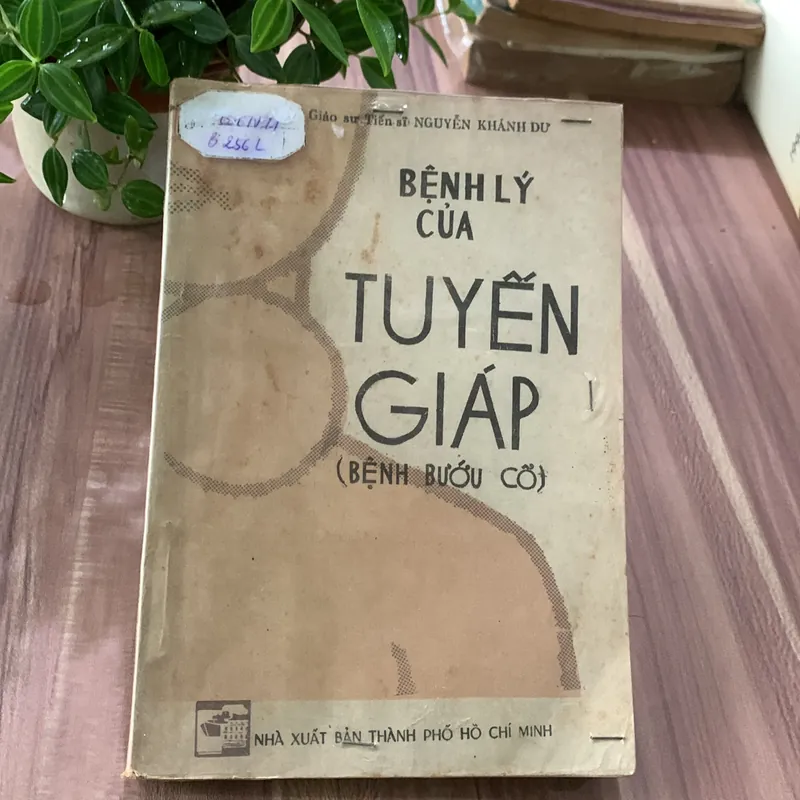 Dự phòng những tai biến trong thời kỳ thai nghén và sinh sản  622662