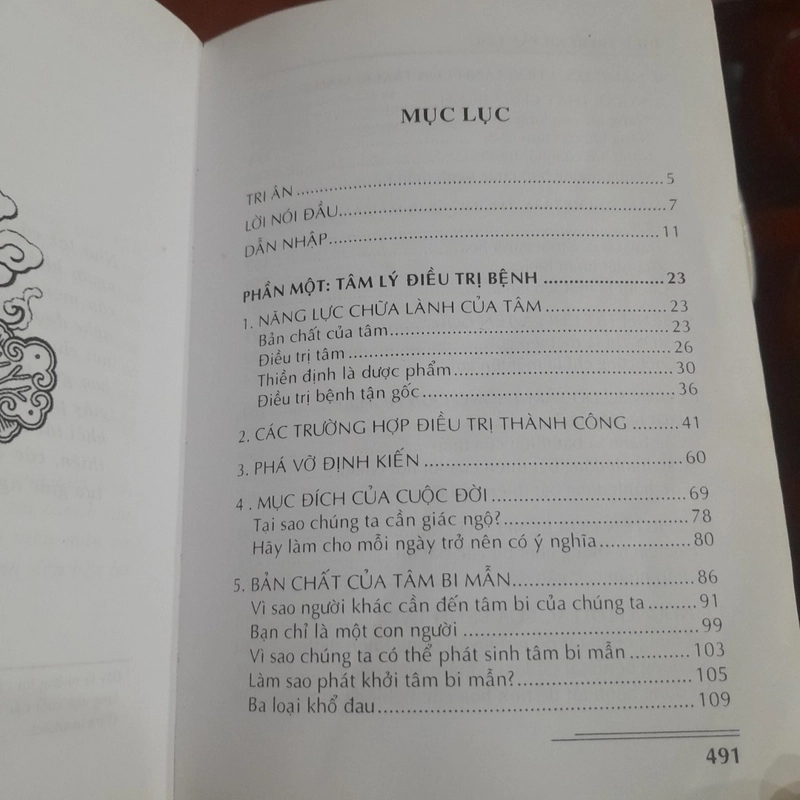 ĐIỀU TRỊ BỆNH TẬN GỐC, năng lực của Tâm Bi Mẫn 497902
