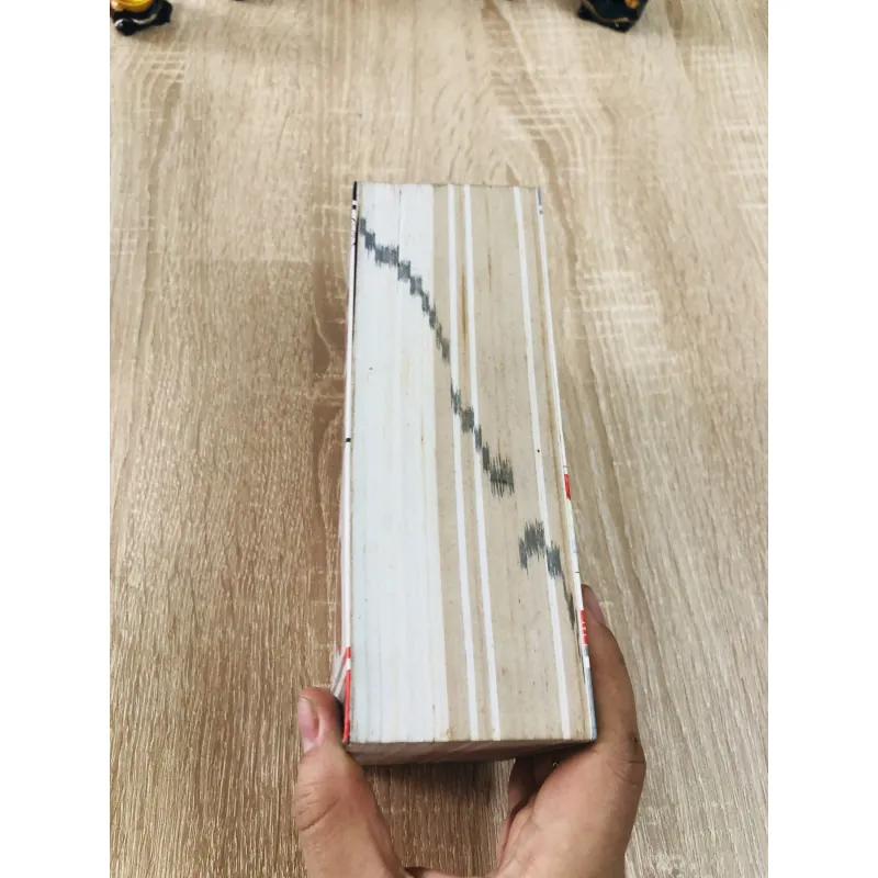 TỪ ĐIỂN Y HỌC ANH- VIỆT  934650