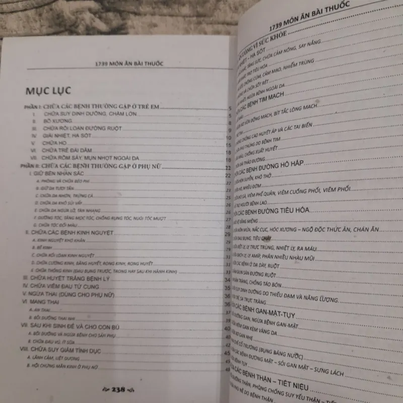 Món ăn bài thuốc- 1739 món chữa bệnh từ RAU CỦ QUẢ.TG Lương Y Tuệ Minh và Dương Thiện 747534