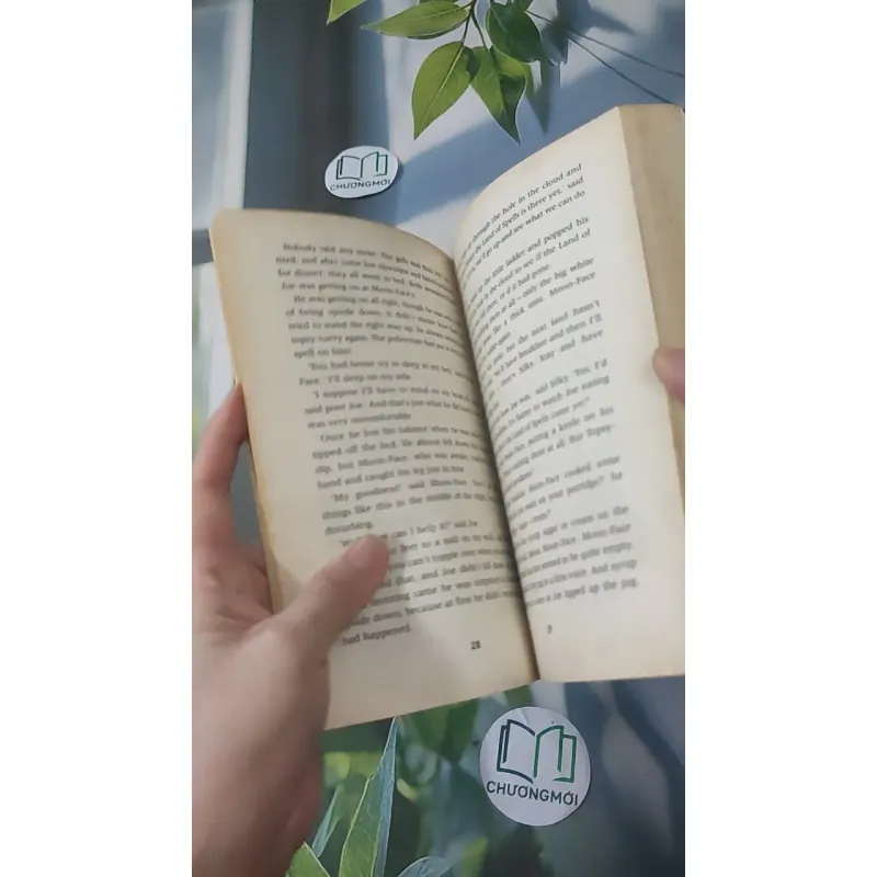 The Magic Faraway Tree - Enid Blyton 1033612