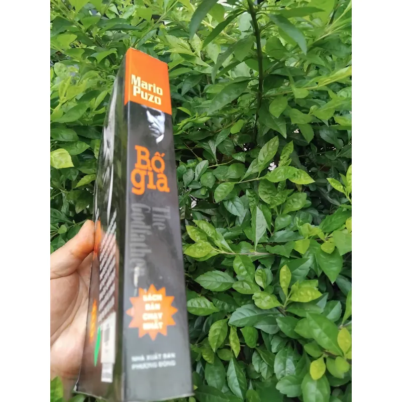 Bố già ( The Godfather ) bản dịch hay nhất của Đặng Phi Bằng  1008252