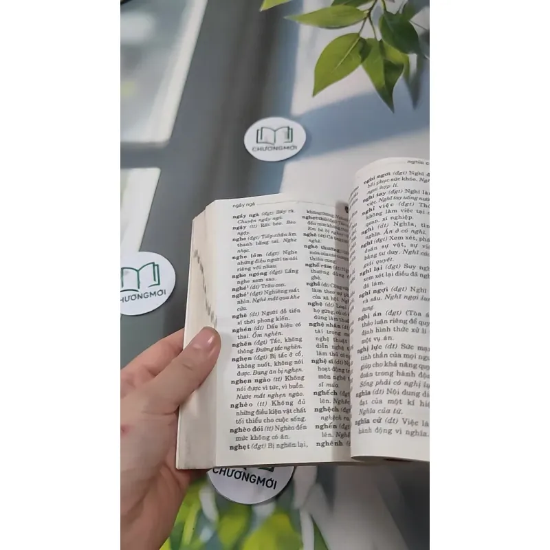 Từ Điển Tiếng Việt Dành Cho Học Sinh Lớp 727290