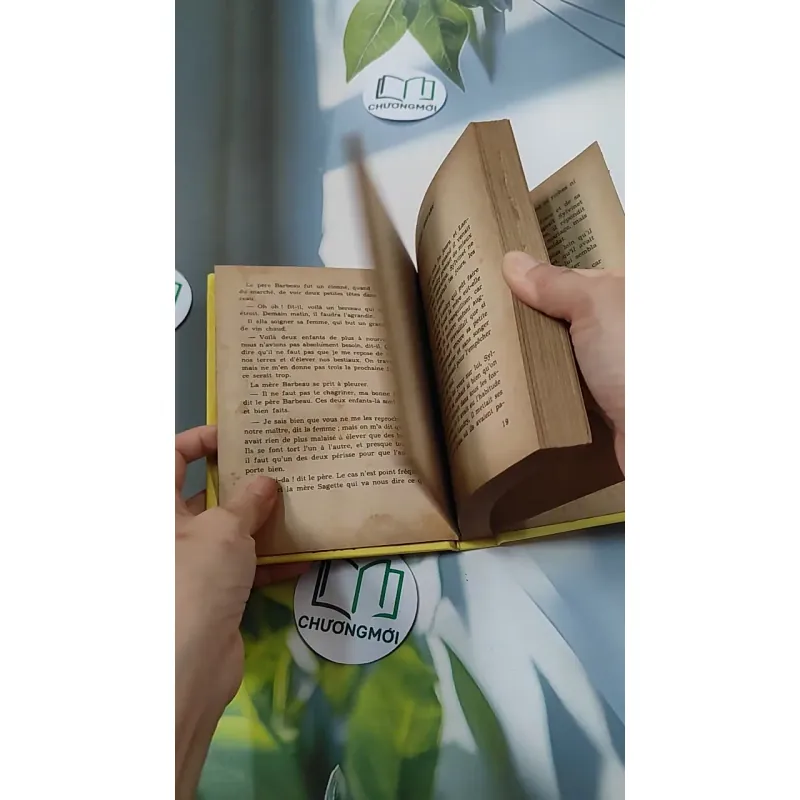 [MIỄN PHÍ BỌC SÁCH] La Petite Fadette - George Sand 749583