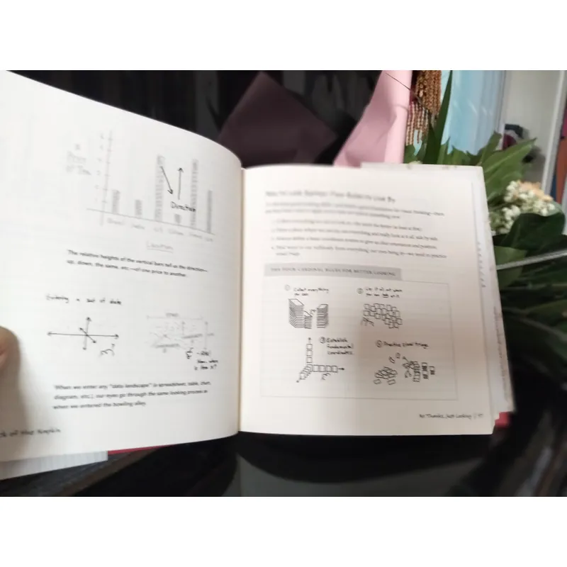 Sách Back of The Napkin_Mặt sau tấm khăn giấy (Sách hay, còn mới 99%) 705113