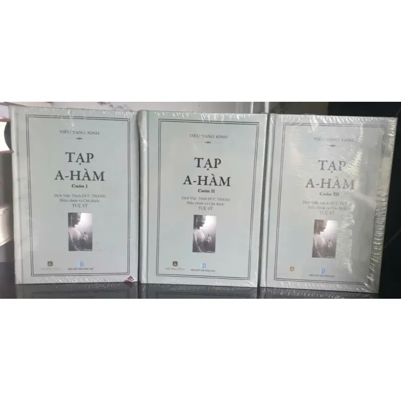 Tạp A- Hàm tập 1,2,3 - Tuệ Sỹ 704364