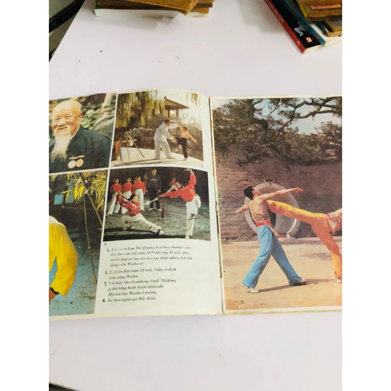 WUSHU VÕ THUẬT TRUNG HOA CỔ ĐIỂN VÀ HIỆN ĐẠI  531159