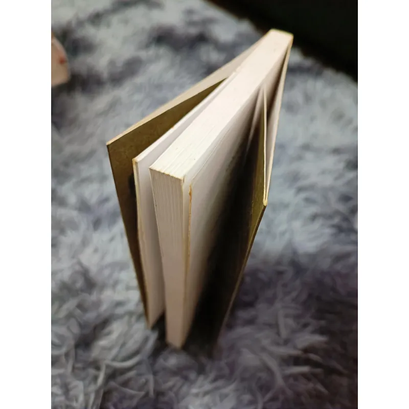 Cuộc sống ở trước mặt (Romain Gary) 791046