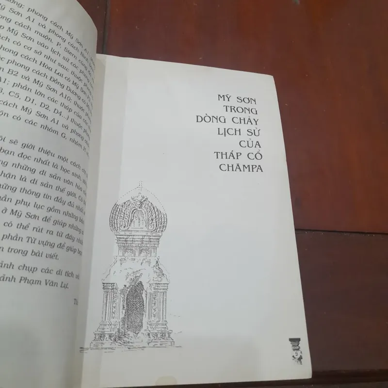 THÁNH ĐỊA MỸ SƠN 590798