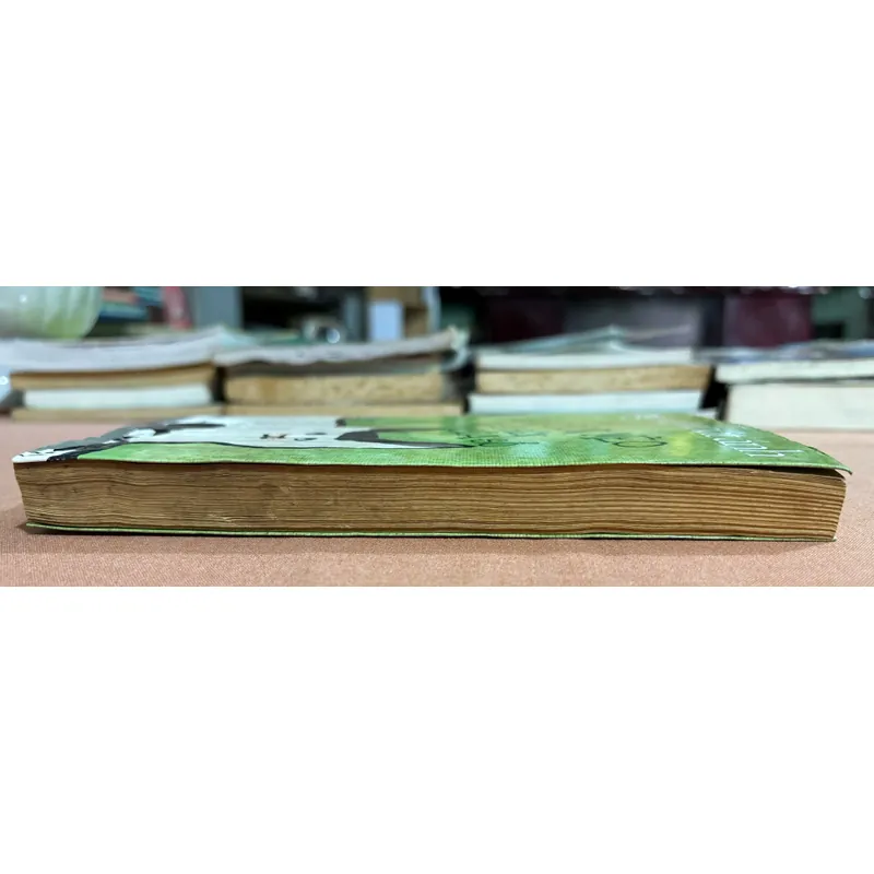 Có hai con mèo ngồi bên cửa sổ 🌊 599769