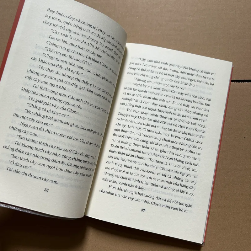 Cây cam ngọt của tôi 928474