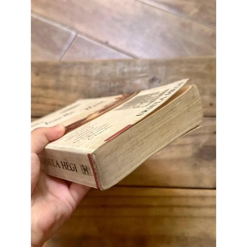 Stones from the River - Ursula Hegi 728986