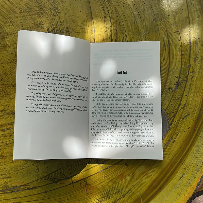 ĐỜI CALLBOY- (3)- NGUYỄN NGỌC THẠCH 706853