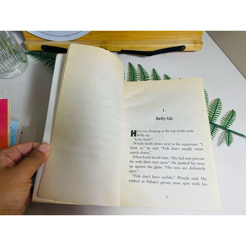 [Sách 2hand từ US] Like new 90% - Show and Tell – Stephanie Greene 476845