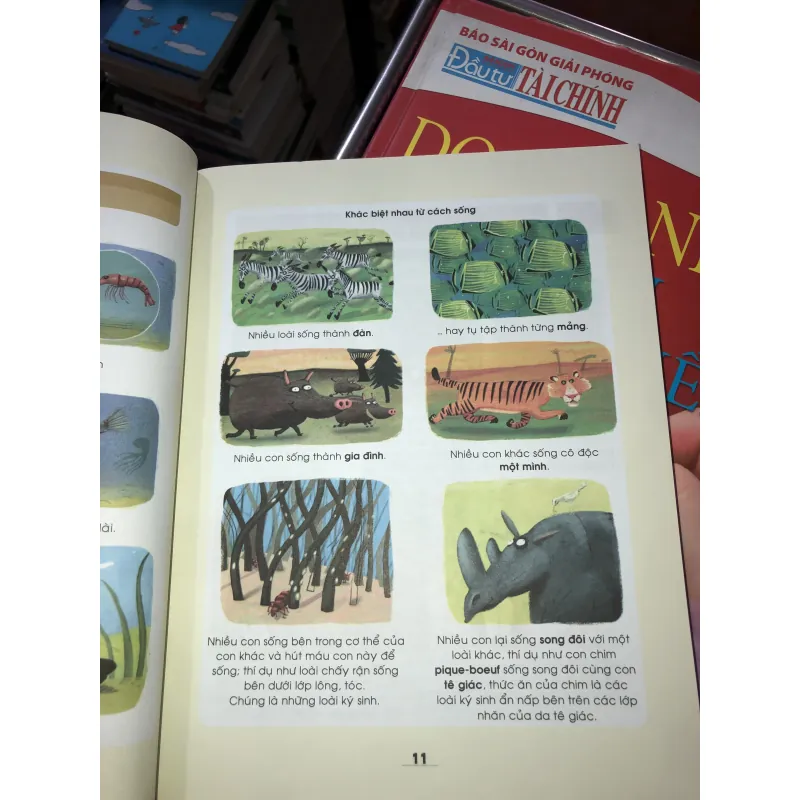 Khoa học thật hấp dẫn  1010087