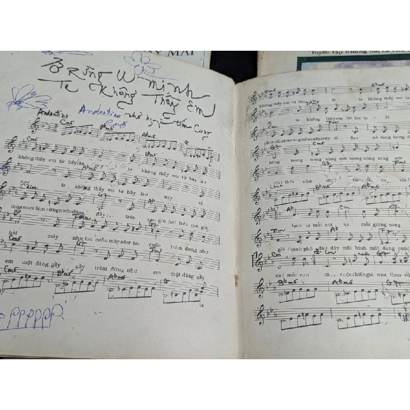 CON ĐƯỜNG TÌNH CHÚNG TA ĐI - PHẠM DUY 137291