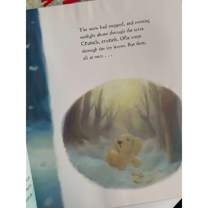 Lost in the Snow – Linda Jennings & Alison Edgson 561173