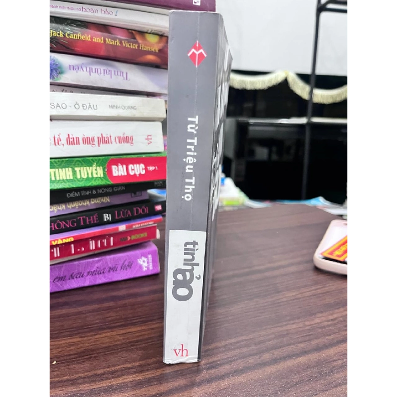 Tình ảo - Từ Triệu Thọ 934229