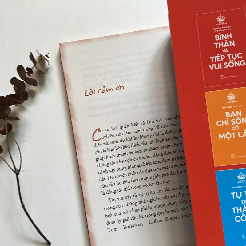 Bán sách cũ - Bình thản và tiếp tục sống (bộ sách Keep Calm) - Mark A. Reinecke 576568