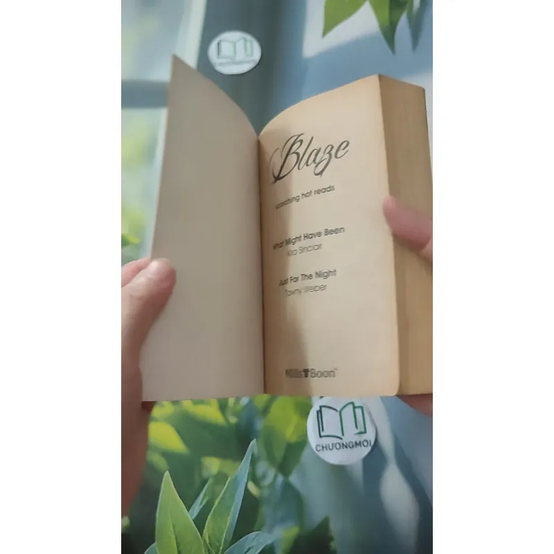 What Might Have Been - Just For The Night - Kira Sinclair & Tawny Weber 1027484