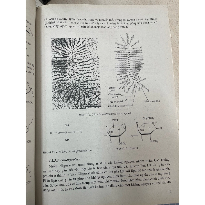 Cơ sở hoá sinh - PGS, TS. Trịnh Lê Hùng 994444