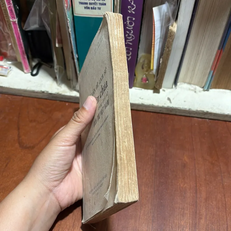 II Một Số Vấn Đề Đạo Thiên Chúa Trong Lịch Sử Dân Tộc Việt Nam - 1988 1012802