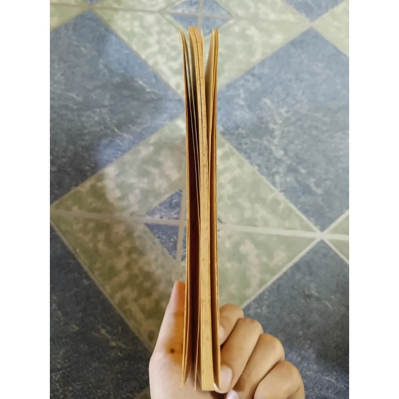 Ký Ức Lịch Sử Về Sài Gòn và Các Vùng Phụ Cận - Trương Vĩnh Ký 609519