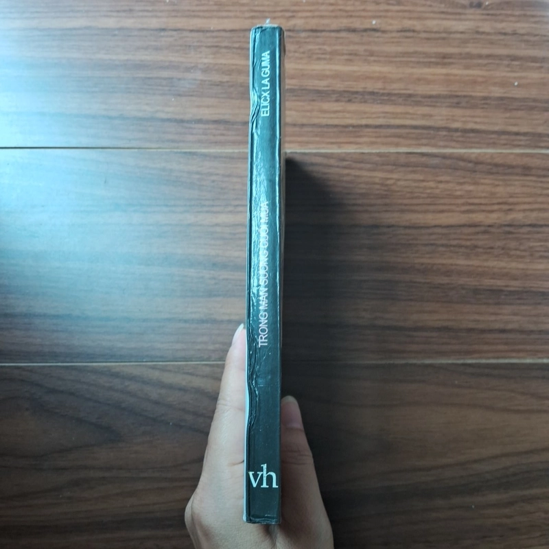 Trong màn sương cuối mùa 505827